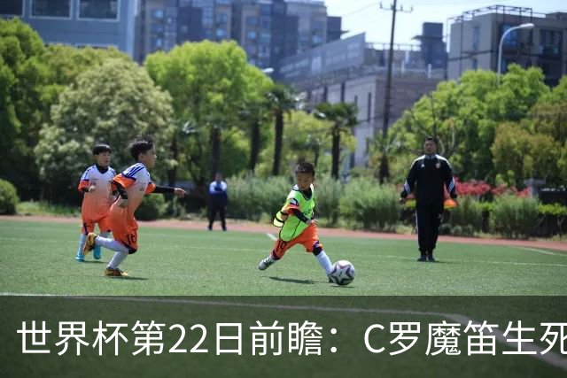 世界杯第22日前瞻：C罗魔笛生死斗 西班牙力争破咒